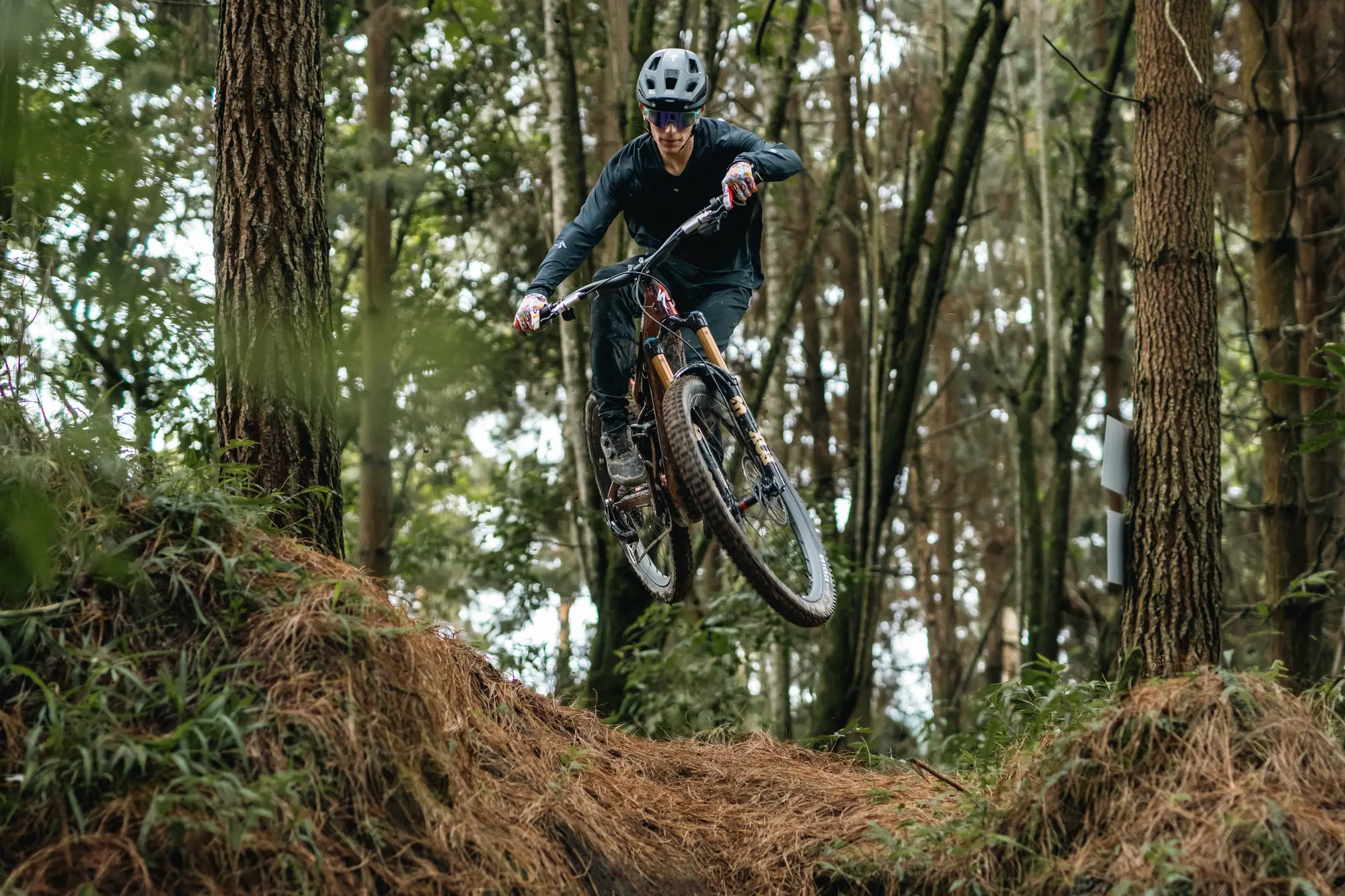 Specialized Colombia — Donde lo súper se une con lo natural